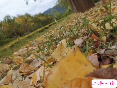 描写秋天的句子优美带图片 秋天到了微信心情说说4