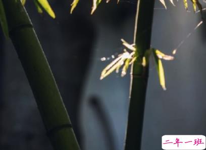 描写秋天的句子优美带图片 秋天到了微信心情说说5