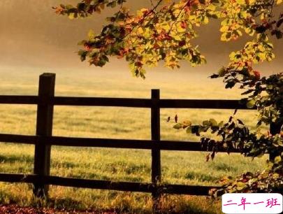 描写秋天的句子优美带图片 秋天到了微信心情说说7