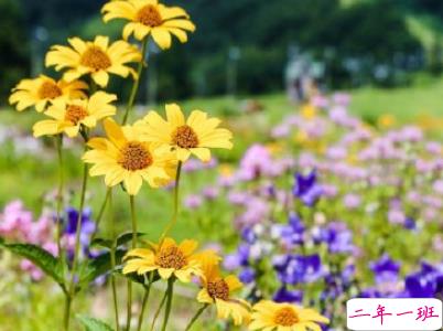 描写秋天的句子优美带图片 秋天到了微信心情说说10