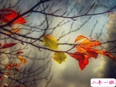 描写秋天的句子优美带图片 秋天到了微信心情说说11