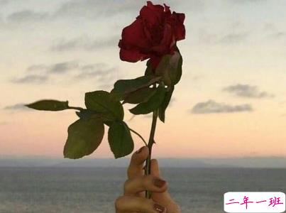 心累心烦的说说带图片 烦躁不安的伤感说说10