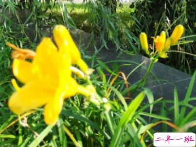 描写秋天的句子优美带图片 秋天到了微信心情说说15