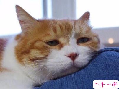 心累心烦的说说带图片 烦躁不安的伤感说说13