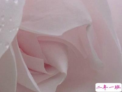 最新爱情伤感的话配图 错过一个人的伤感句子6