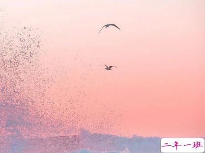 最新爱情伤感的话配图 错过一个人的伤感句子14