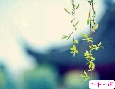 一个人的说说伤感心情短语配图 感到无力心酸的说说5