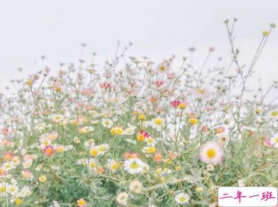 一个人的说说伤感心情短语配图 感到无力心酸的说说15