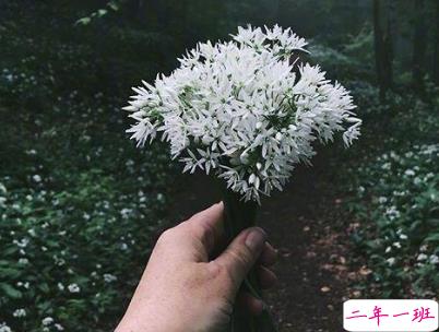 最新qq空间伤感说说带图片 qq淡淡忧伤的说说心情短语9