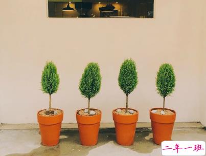 艾特对象的情话说说带图片 说给另一半听的幸福话语11