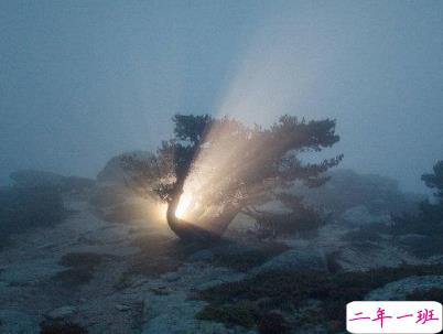 越想越难过伤感的说说配图 被伤得很深的爱情说说14