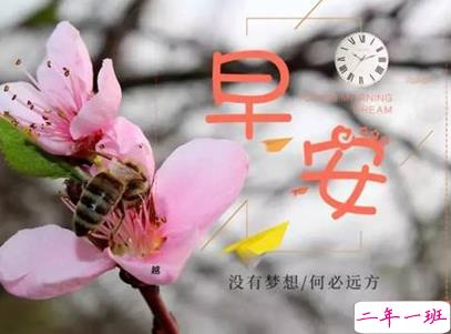 抖音最火爆的早安问候语配图 适合发给好友的早安语录3