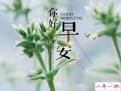 抖音最火爆的早安问候语配图 适合发给好友的早安语录6