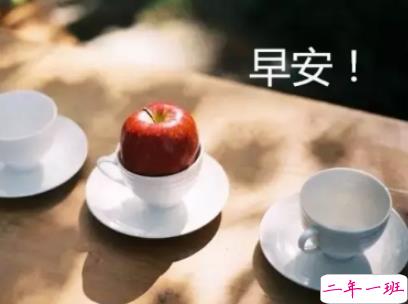 抖音最火爆的早安问候语配图 适合发给好友的早安语录13