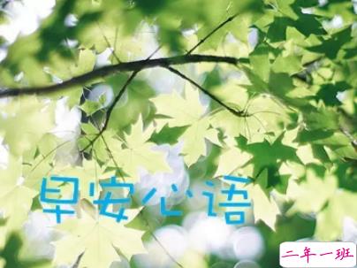 抖音最火爆的早安问候语配图 适合发给好友的早安语录16