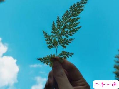 心已经凉透了的说说带图片 不吵不闹很悲伤的说说2