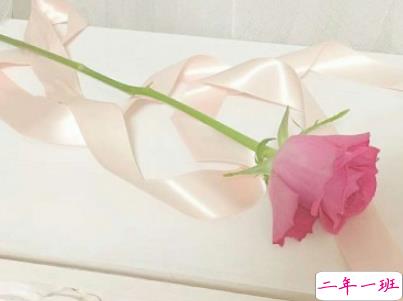 心已经凉透了的说说带图片 不吵不闹很悲伤的说说11