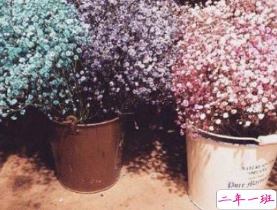 心已经凉透了的说说带图片 不吵不闹很悲伤的说说12