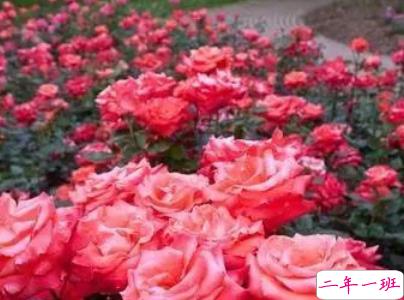 2019五一快乐心情说说带图片 五一祝福语说说经典语录4