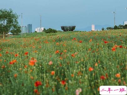2019五一快乐心情说说带图片 五一祝福语说说经典语录7