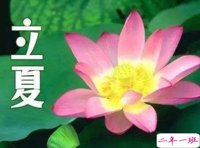 2019立夏节气朋友圈说说配图 夏天到了的说说大全9