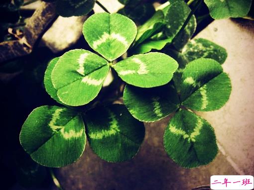 女生伤感说说带图片心情低落 越想越心痛的难过说说大全9