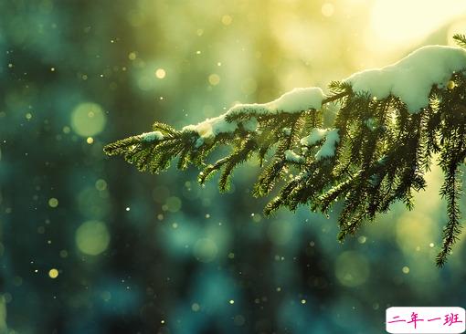 女生伤感说说带图片心情低落 越想越心痛的难过说说大全12