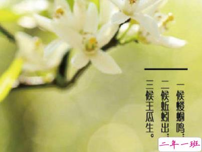 2019立夏节气朋友圈说说配图 夏天到了的说说大全15