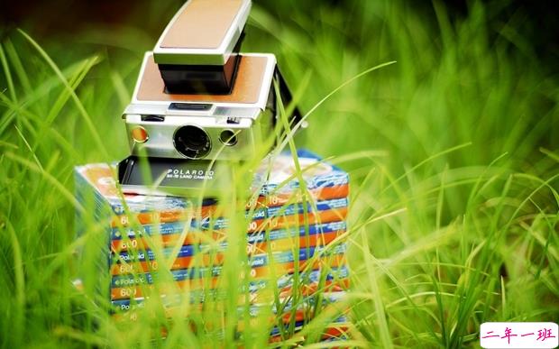 2019妇女节朋友圈说说大全配图 温馨浪漫的38妇女节说说带图片3