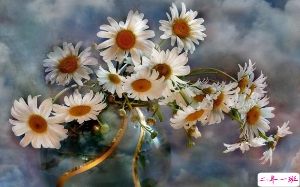 2019妇女节朋友圈说说大全配图 温馨浪漫的38妇女节说说带图片4