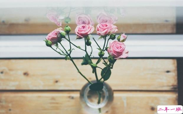 2019妇女节朋友圈说说大全配图 温馨浪漫的38妇女节说说带图片7