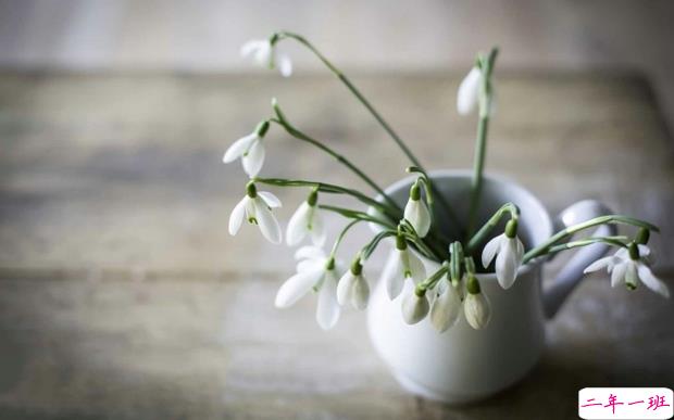 2019妇女节朋友圈说说大全配图 温馨浪漫的38妇女节说说带图片9