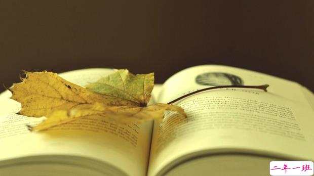 2019妇女节朋友圈说说大全配图 温馨浪漫的38妇女节说说带图片10