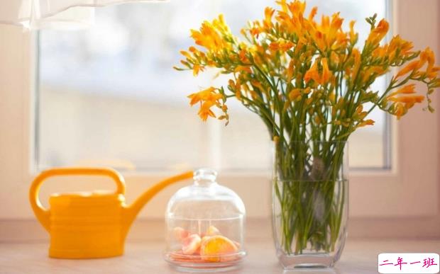 2019妇女节朋友圈说说大全配图 温馨浪漫的38妇女节说说带图片11