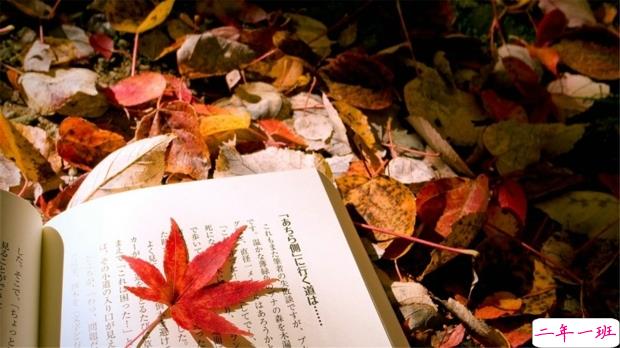 2019妇女节朋友圈说说大全配图 温馨浪漫的38妇女节说说带图片12