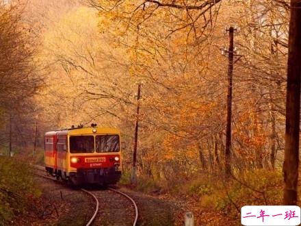 感悟生活的早安心情说说 阳光这么好别辜负了今天7