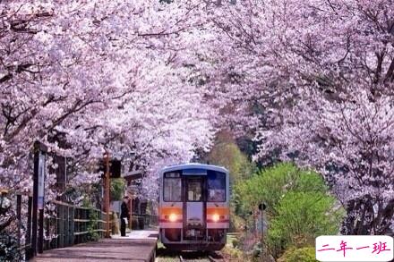 感悟生活的早安心情说说 阳光这么好别辜负了今天12