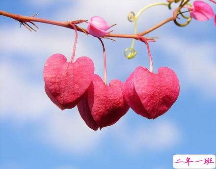 感悟生活的早安心情说说 阳光这么好别辜负了今天14