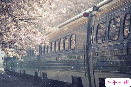 感悟生活的早安心情说说 阳光这么好别辜负了今天15