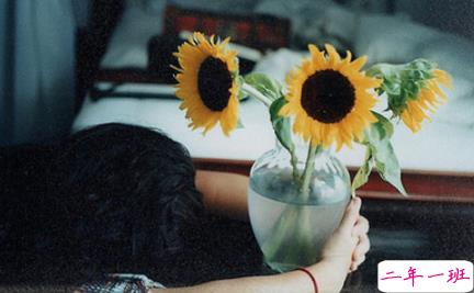 失落的晚安说说带图片 伤感一句话晚安说说配图5