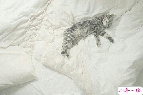 成长青春治愈系句子带图片 很暖心的治愈系说说简短一句话4