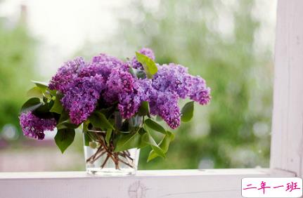 失落的晚安说说带图片 伤感一句话晚安说说配图7