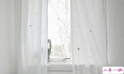 成长青春治愈系句子带图片 很暖心的治愈系说说简短一句话12