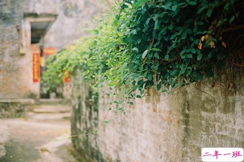 让人听了心酸泪目的一些话带图片 看完瞬间眼红忍不住想哭7