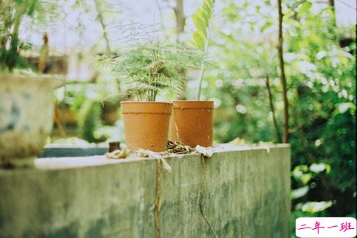 成长青春治愈系句子带图片 很暖心的治愈系说说简短一句话15