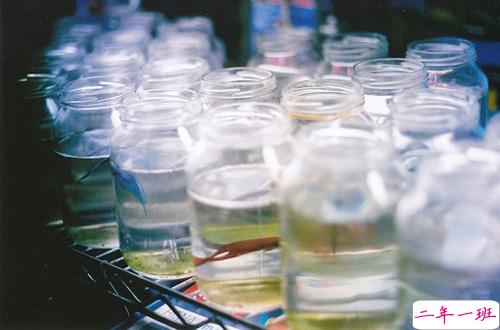 让人听了心酸泪目的一些话带图片 看完瞬间眼红忍不住想哭10