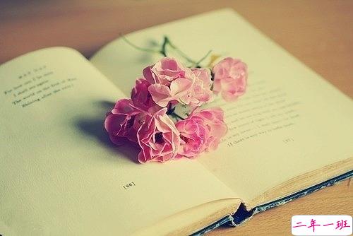 干净文艺小短句带图片 2019抖音值得珍藏的文艺句子14