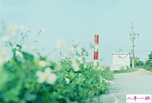 qq说说女生伤感心累了带图片 简短一句话说说女生难过寂寞5