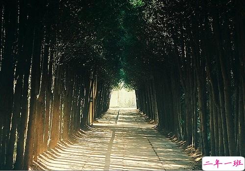 qq说说女生伤感心累了带图片 简短一句话说说女生难过寂寞8