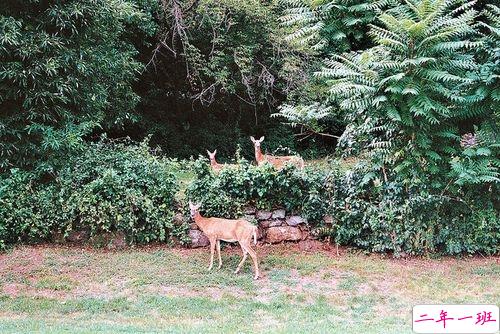 男生霸气说说带图片致自己 微信霸气说说男生干练洒脱9